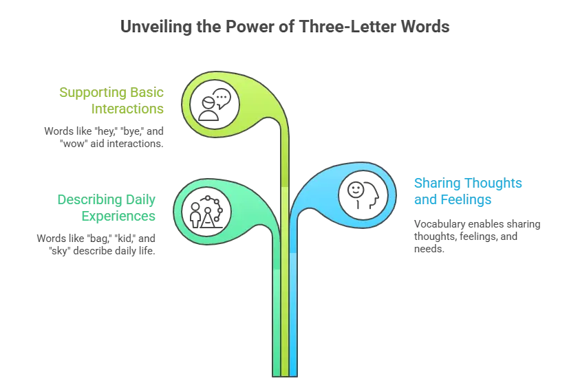 3 letter words educational section
